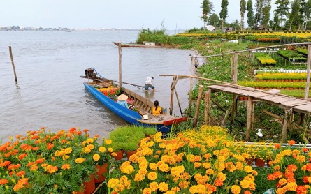 Những làng hoa Miền Tây nổi tiếng tuyệt đẹp