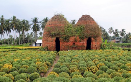Vẻ đẹp của Làng Hoa Kiểng Cái Mơn – Chợ Lách – Bến Tre