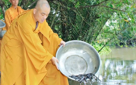 Hành hương về Tổ đình Kim Cang – Long An