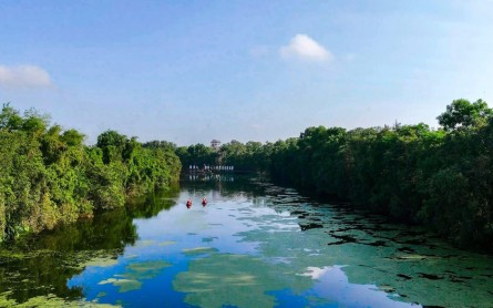 Miền Tây Mùa Nước Nổi: Khám Phá Những Điểm Đến Không Thể Bỏ Lỡ