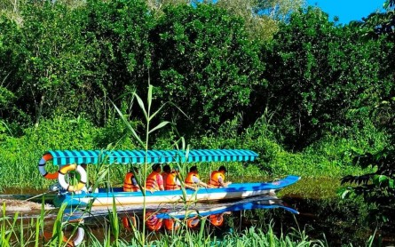 Du lịch Cà Mau 3 ngày 2 đêm: Lịch trình gợi ý và chi phí dự kiến