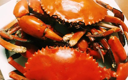 Mê mẩn đặc sản Miền Tây – Tinh hoa ẩm thực vùng sông nước