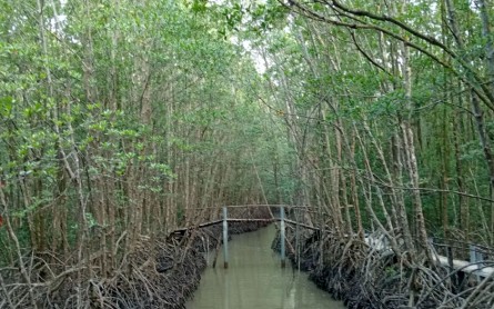 Cẩm nang du lịch Mũi Cà Mau chi tiết mới cập nhật