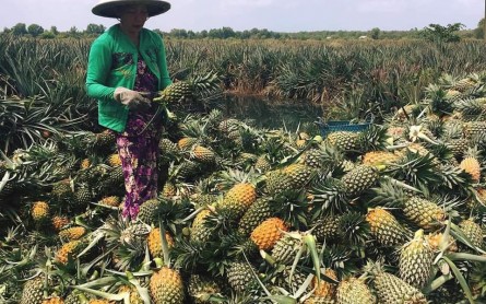 Làng nghề truyền thống Hậu Giang trải nghiệm văn hóa miền Tây độc đáo