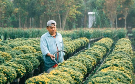 Du lịch Miền Tây mùa nào đẹp? Du lịch Miền Tây nên đi tháng mấy ?