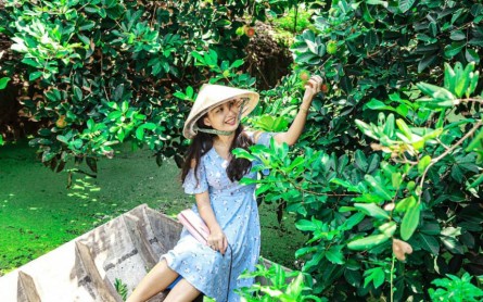 Du lịch Vĩnh Long Tết Nguyên Đán: Trải nghiệm sông nước đậm đà bản sắc