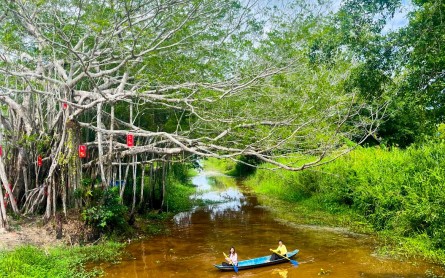Cà Mau có gì hấp dẫn du khách ngày Tết Cổ Truyền