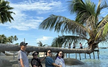 Du lịch miền Tây Nam Bộ nên đi đâu? Tỉnh nào đẹp nhất?