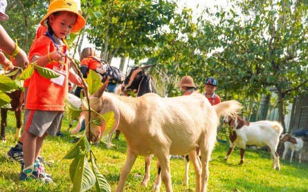 Kinh nghiệm du lịch Hậu Giang chi tiết để có chuyến đi trọn vẹn