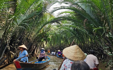 Du lịch Cù Lao Thới Sơn nửa ngày: Chuyến đi ngắn, trải nghiệm “chất”