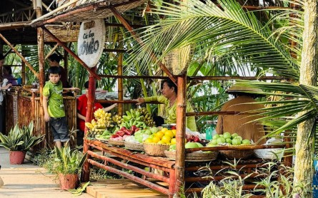 Du lịch Đồng Tháp một ngày: Muôn màu trải nghiệm