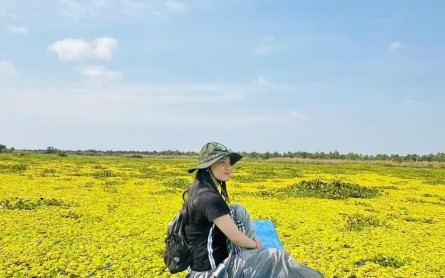 Đi vườn quốc gia U Minh Thượng mùa nào đẹp?