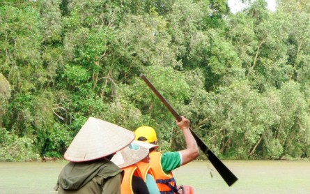 Du lịch Đồng Tháp mùa nước nổi đi đâu đẹp, ăn gì ngon?