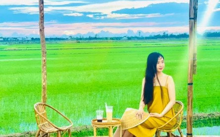 “Hai Ơi” Đồng Tháp: Quán Cà Phê “Chữa Lành” Giữa Đồng Lúa Bát Ngát