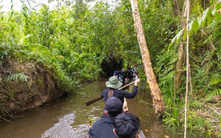 Xẻo Quýt: Không gian học tập sống động về lòng yêu nước và môi trường