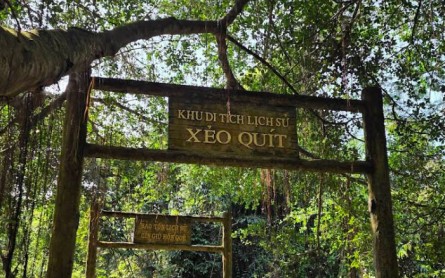 Du lịch Đồng Tháp từ Đà Nẵng: Cách đến, đi đâu chơi, nên ăn gì?