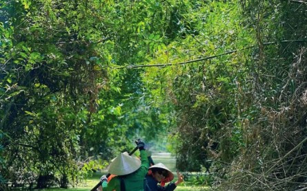 Những điểm du lịch Đồng Tháp dịp Giỗ Tổ và lễ 30/4 – 1/4 “đáng đi” nhất