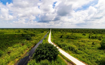 Các điểm du lịch Cà Mau mùa hè mát rượi không nên bỏ lỡ