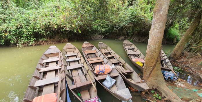 Khu di tích Xẻo Quýt – Điểm du lịch sinh thái kết hợp về nguồn độc đáo ở Đồng Tháp