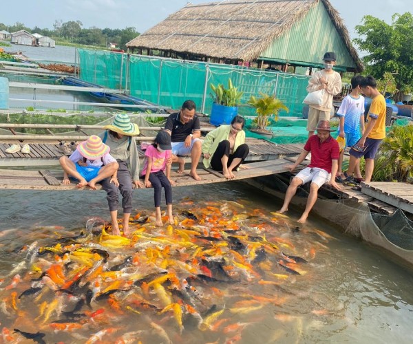 Tourmientay3ngay2demtuhochiminh