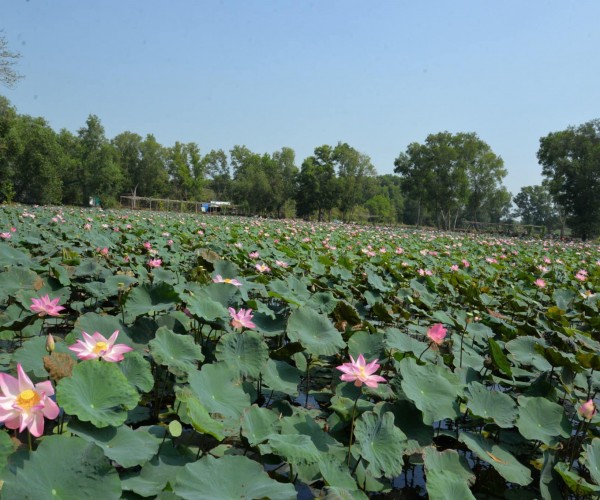 Tourmientaytusaigon3