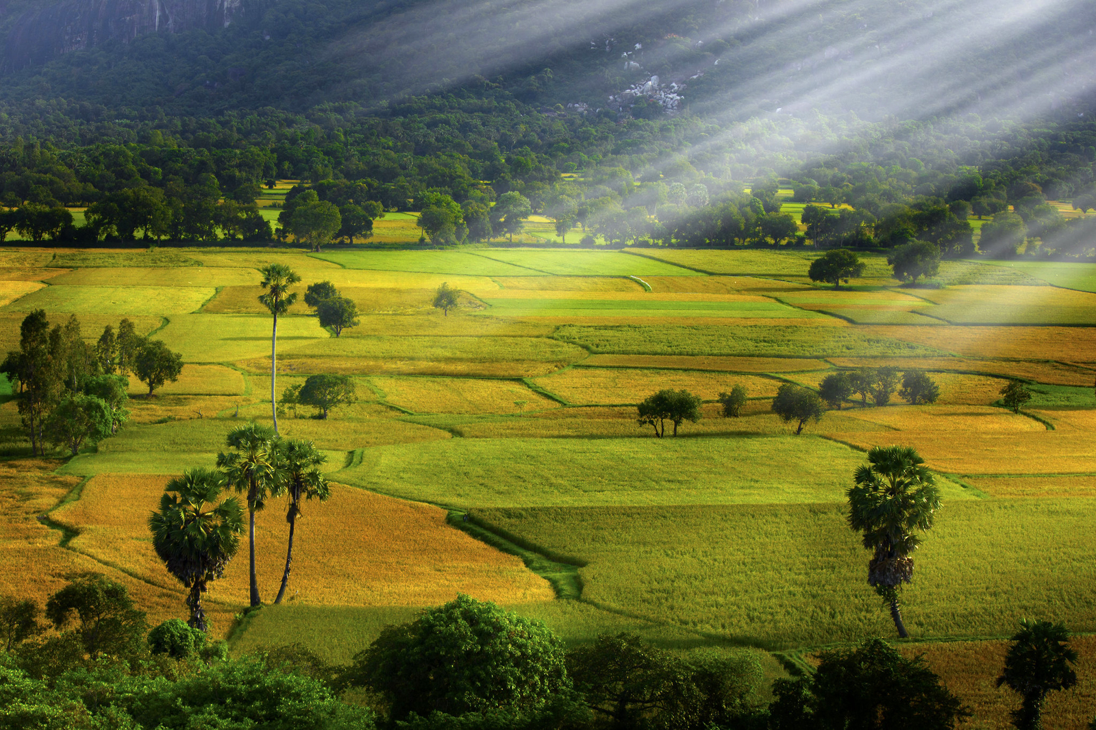 Cánh đồng Tà Pạ là một trong những điểm du lịch hấp dẫn của Việt Nam với vẻ đẹp hoang sơ và trữ tình của những cánh đồng lúa bạt ngàn. Hãy đến và tận hưởng khoảnh khắc tuyệt vời ở đây với những bức ảnh đầy màu sắc.
