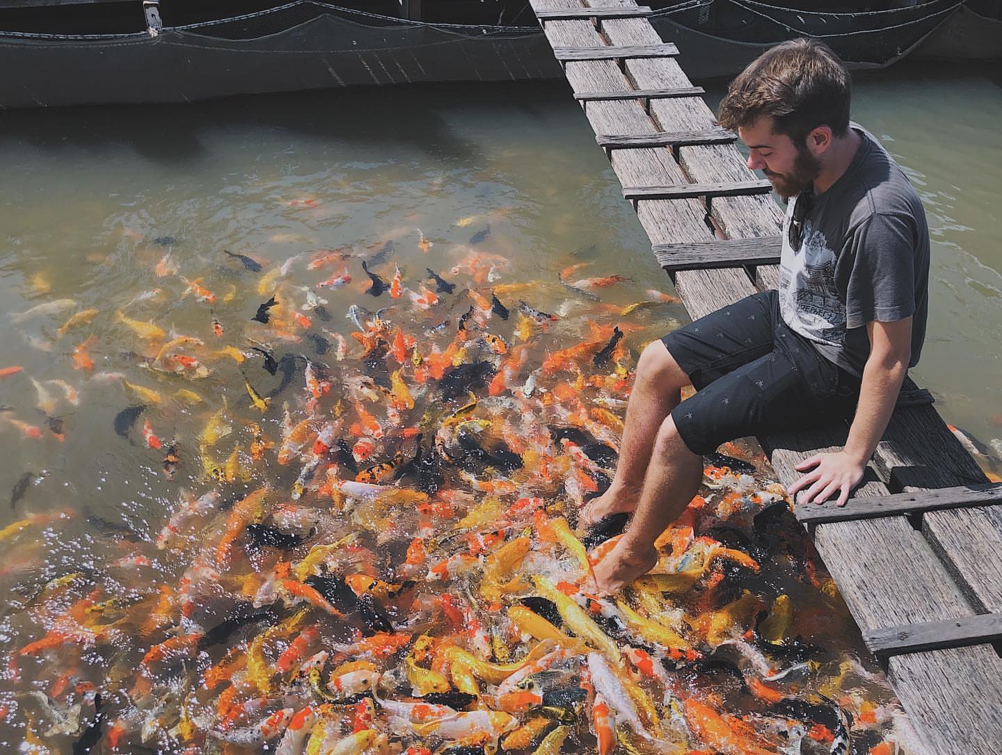 Trải nghiệm cá massage chân ở Cồn Sơn