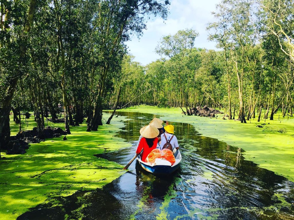 Rừng Tràm Trà Sư An Giang - Du Lịch Miền Tây