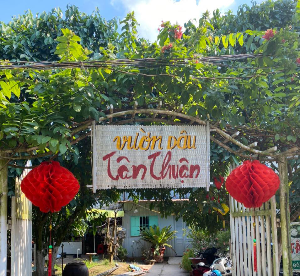 Vườn Dâu Tân Thuận - Cao Lãnh - Đồng Tháp