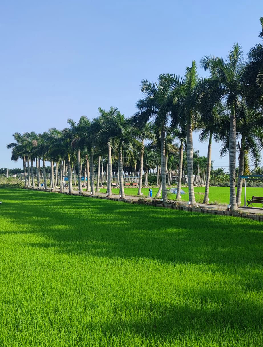 Khung cảnh nên thơ và bình yên