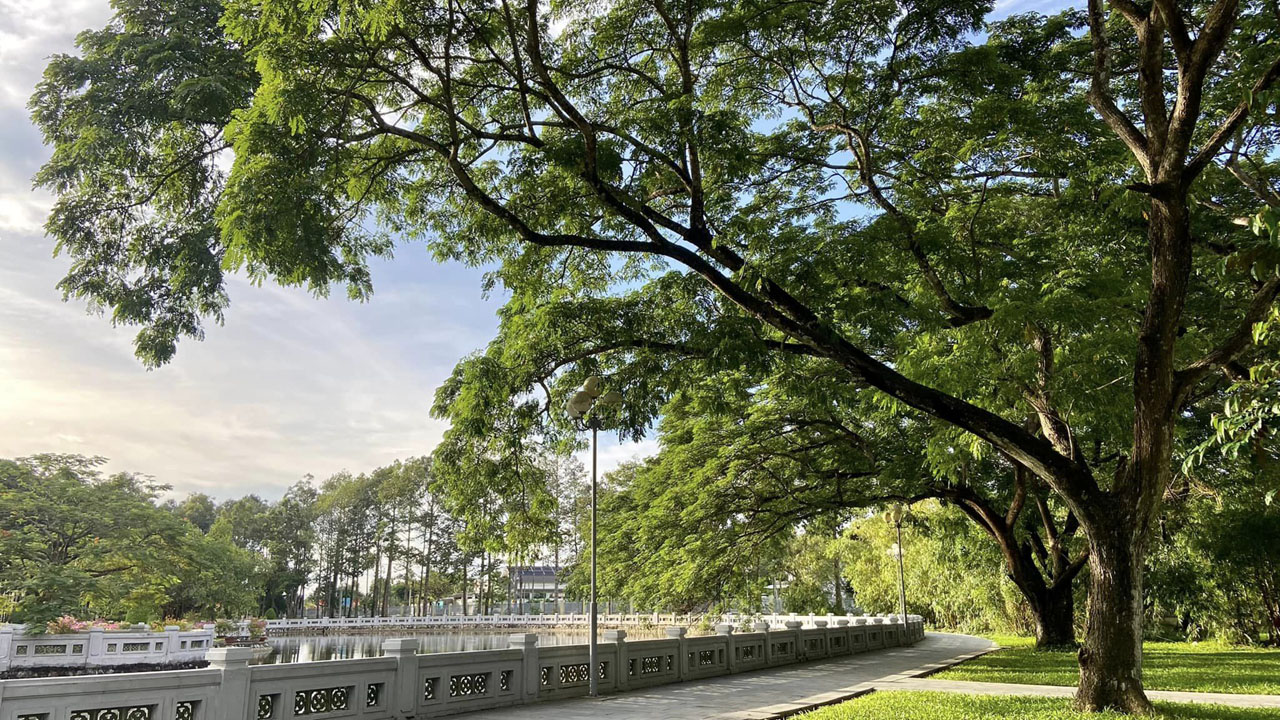 Khuôn viên ngập tràn cây xanh
