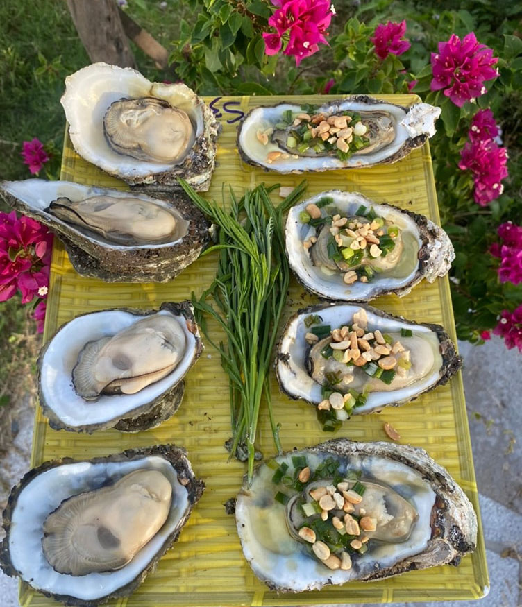 Hàu tươi sống ăn cùng đọt bình linh