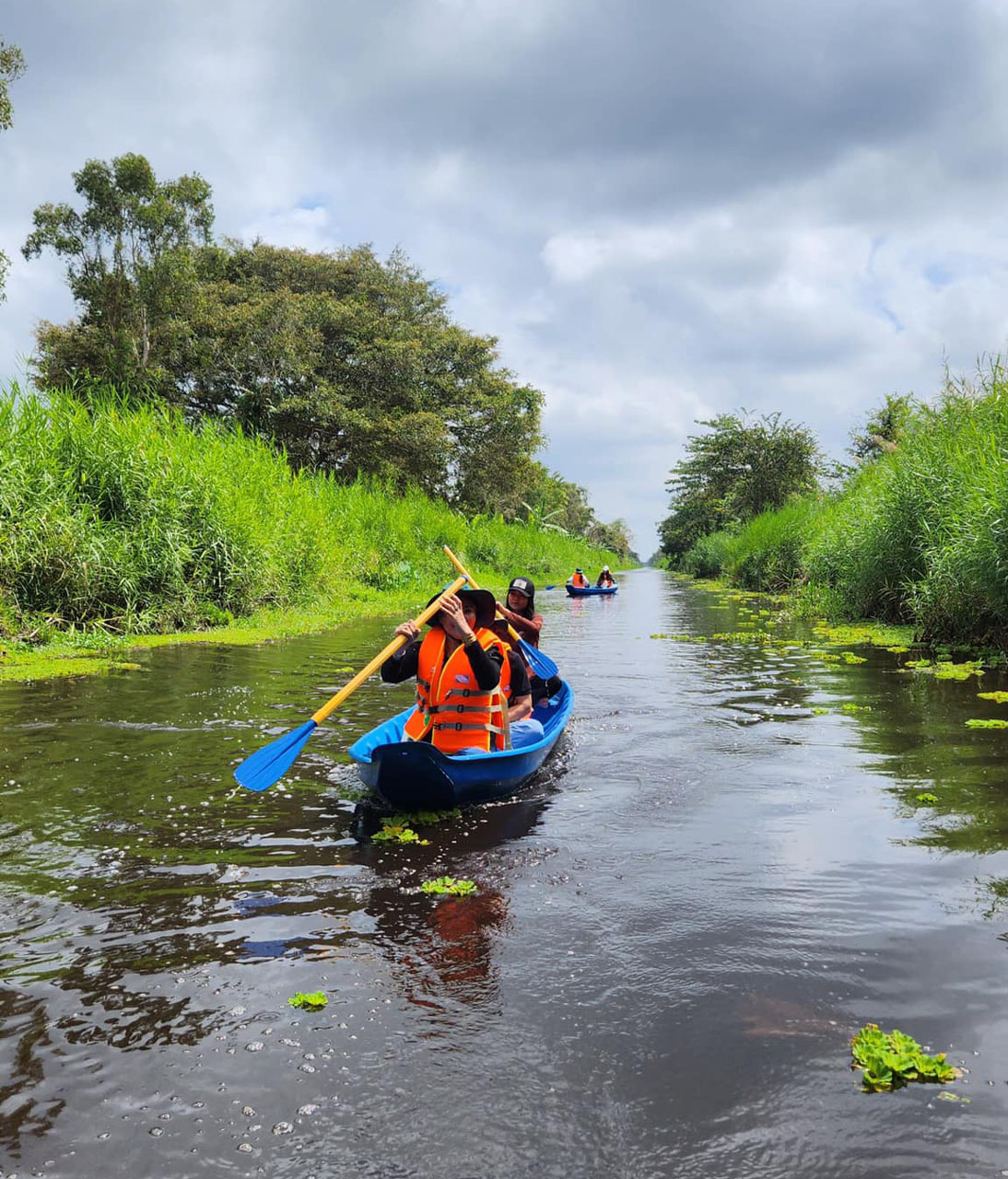 Vườn quốc gia U Minh Hạ
