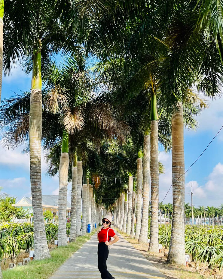 Hàng Cau Vua Tân Trụ