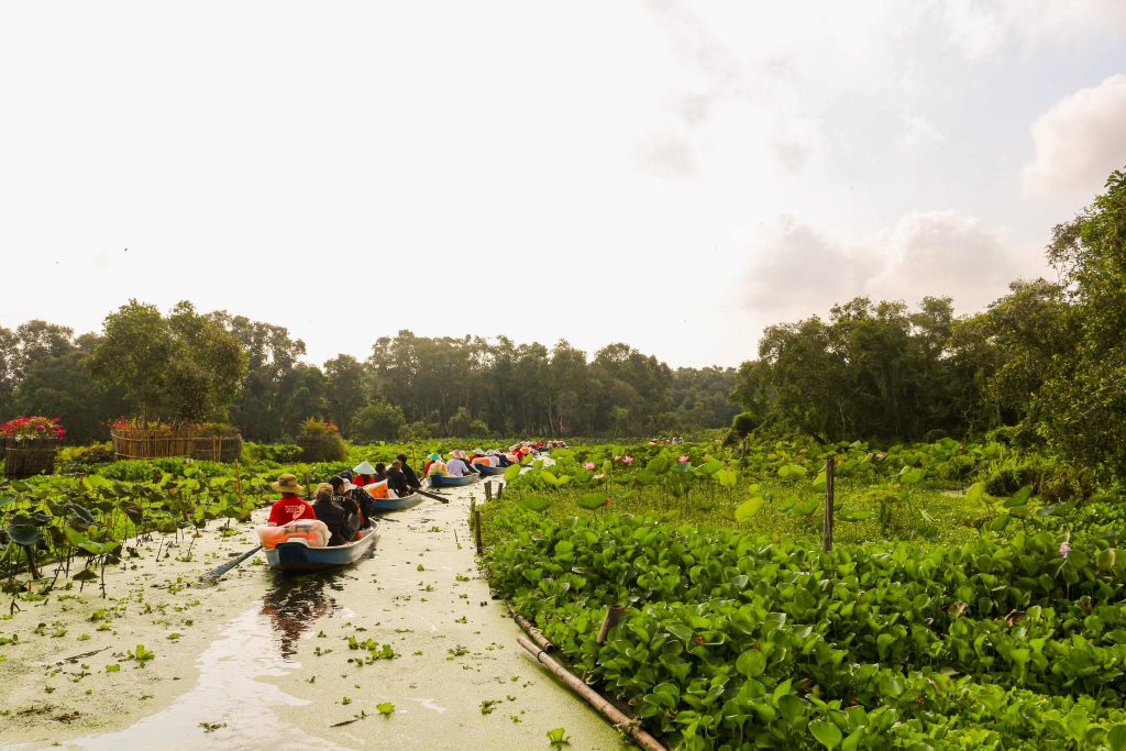 Rừng tràm Trà Sư xanh ngát