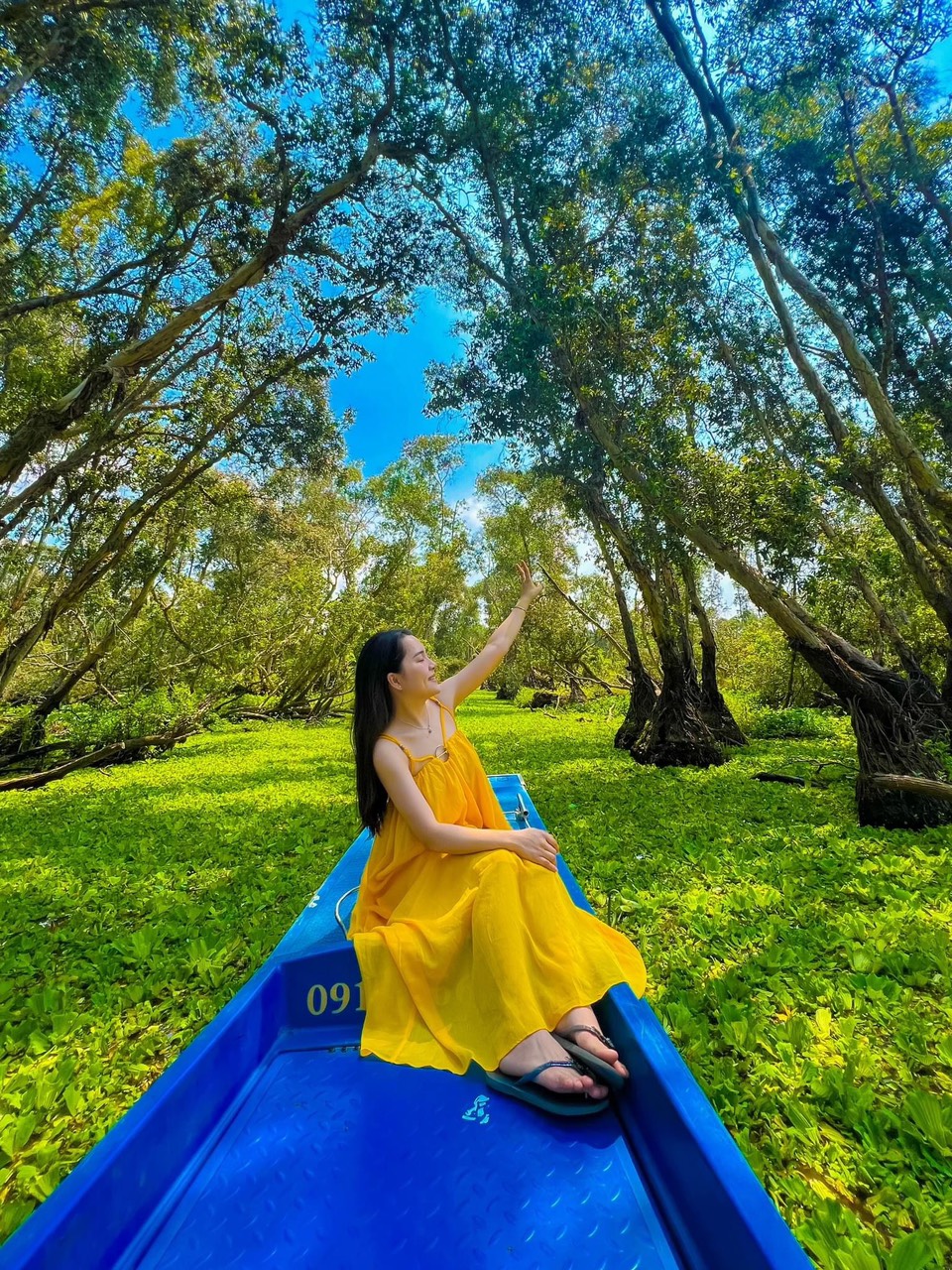 Rừng tràm Trà Sư - An Giang