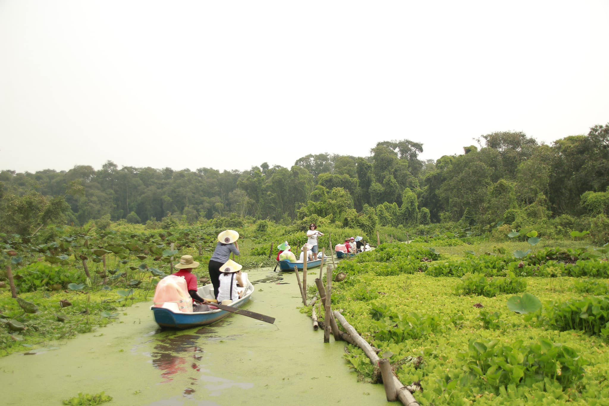Rừng Tràm Trà Sư