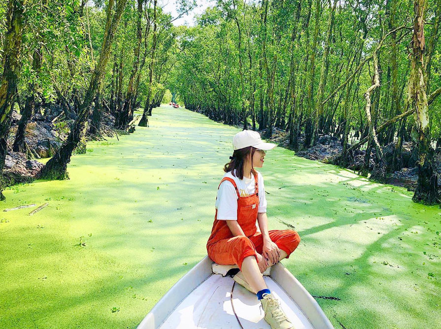Rừng tràm Trà Sư - An Giang