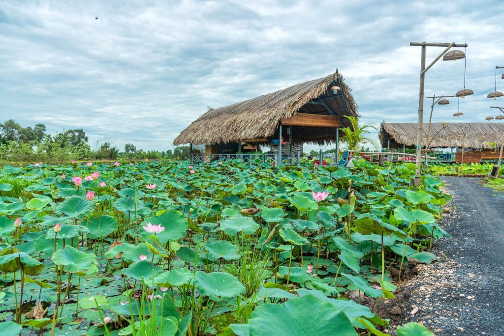 Vàm Cỏ Farmstay