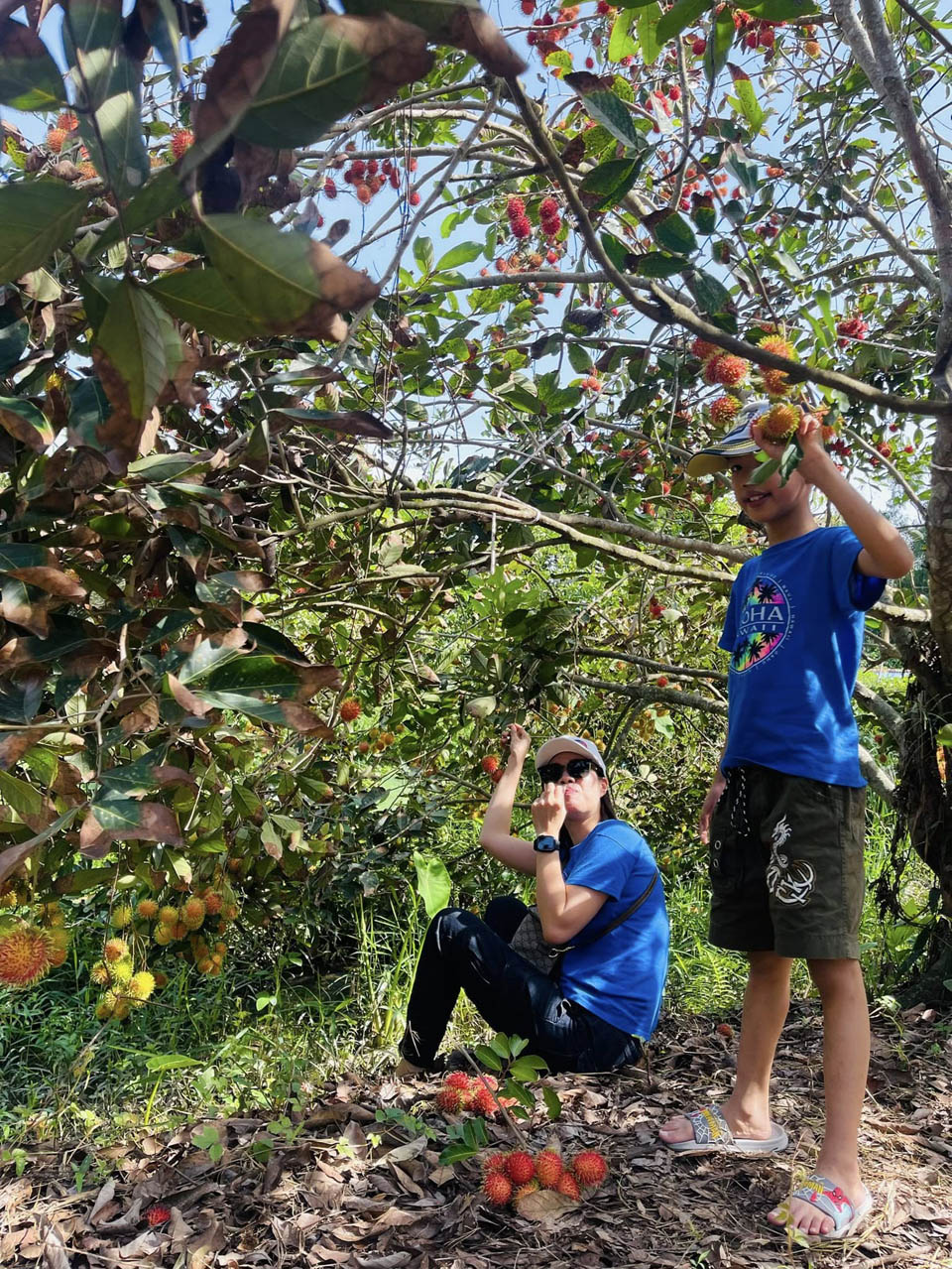 Du lịch Miền Tây mùa hè