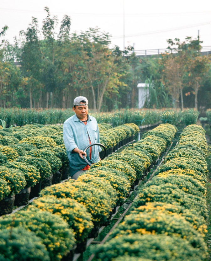 Du lịch Miền Tây mùa đông xuân