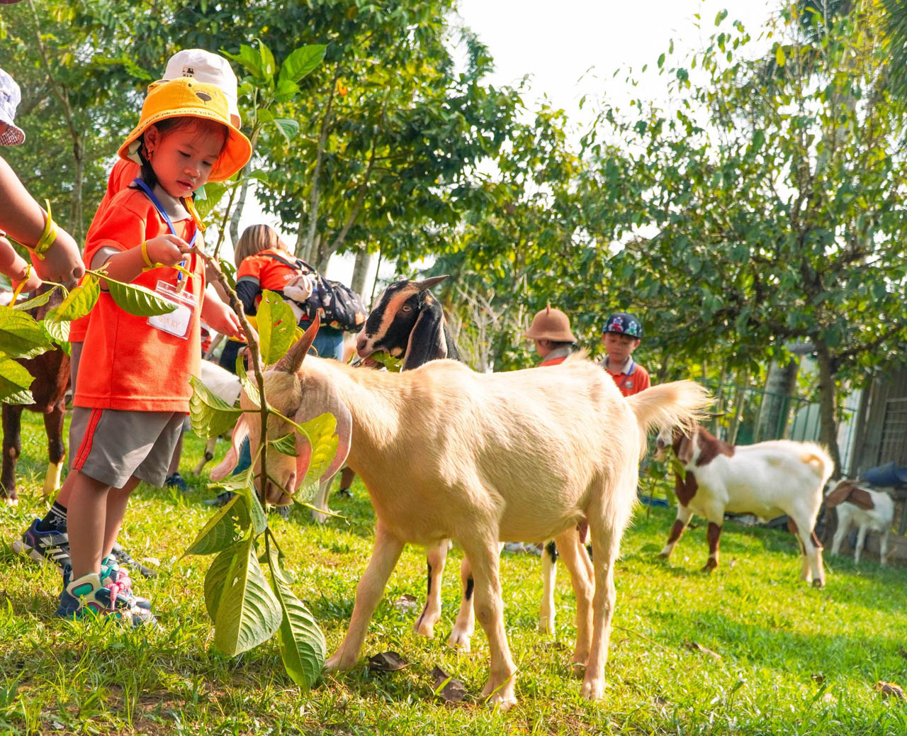 Bảo Gia Farm