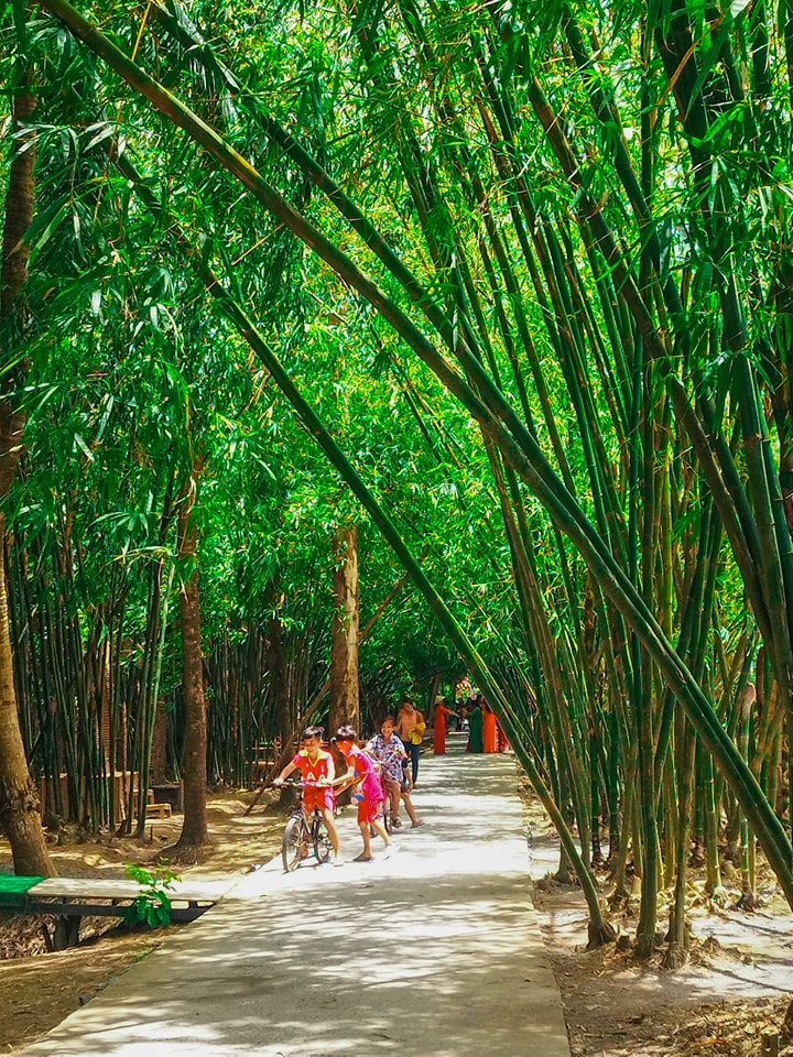 Vườn Tre Tư Sang