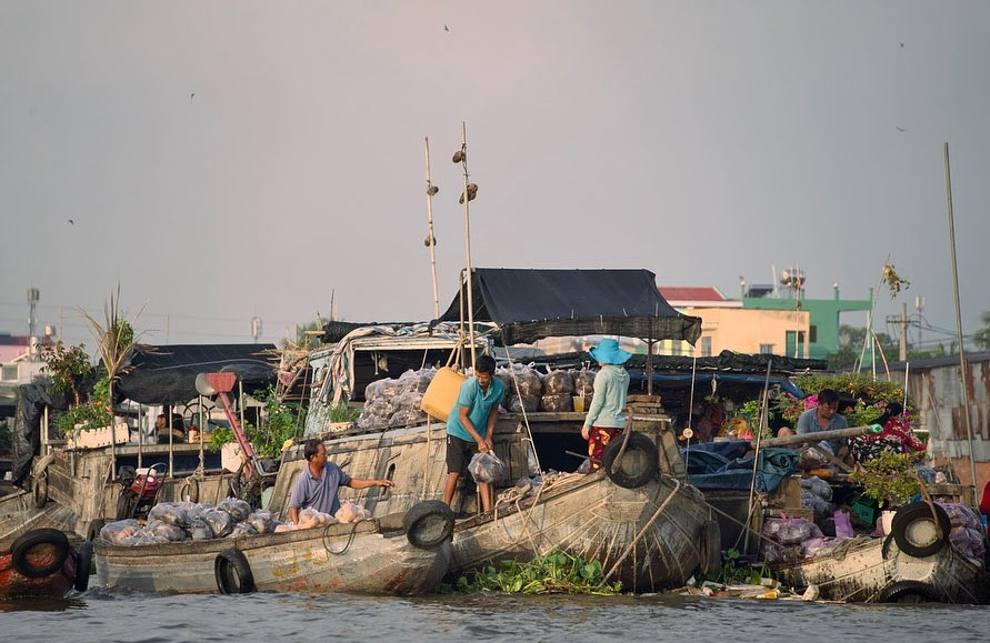 "cây bẹo" độc đáo