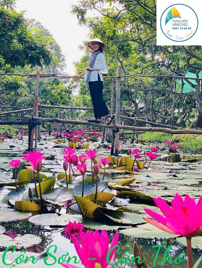 Khung cảnh miệt vườn nên thơ