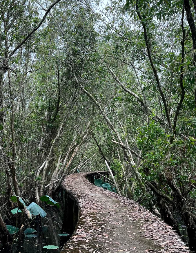 Làng Nổi Tân Lập