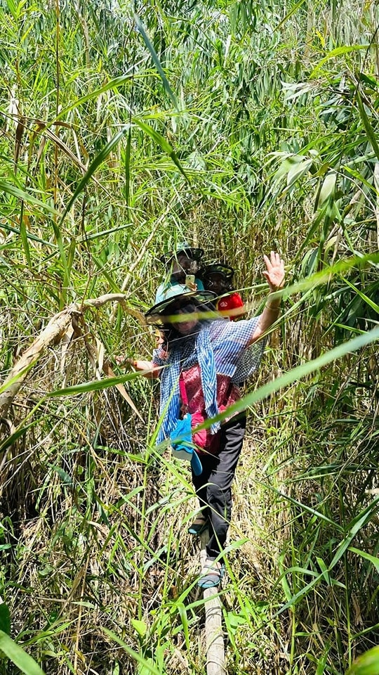 Đi vào khu rừng tràm sâu hun hút