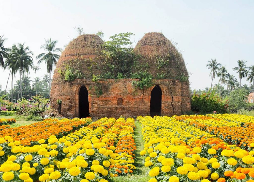 Làng hoa Chợ Lách 