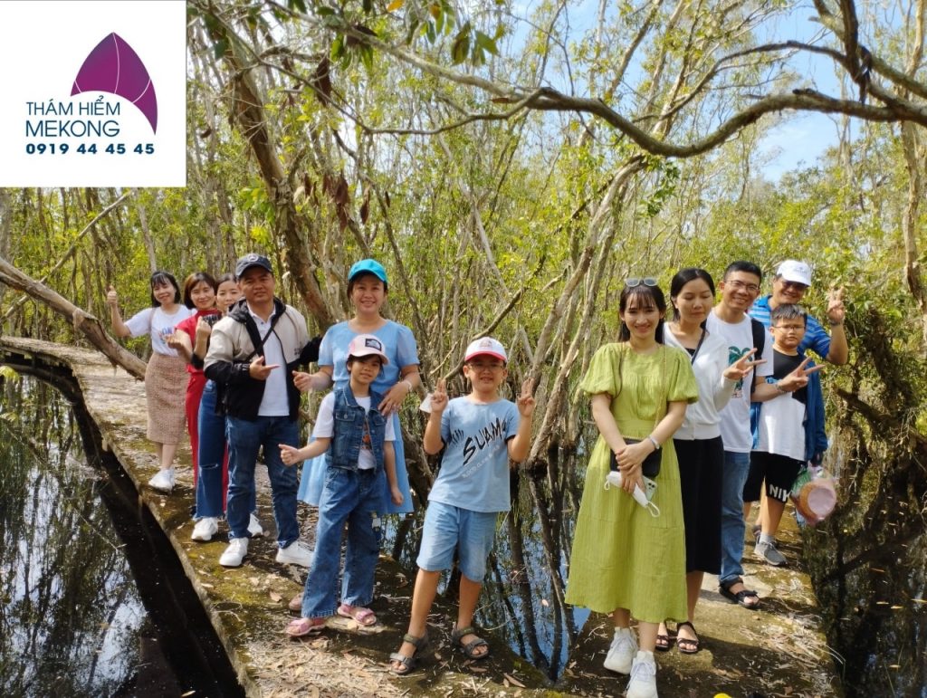 Con đường xuyên rừng tràm