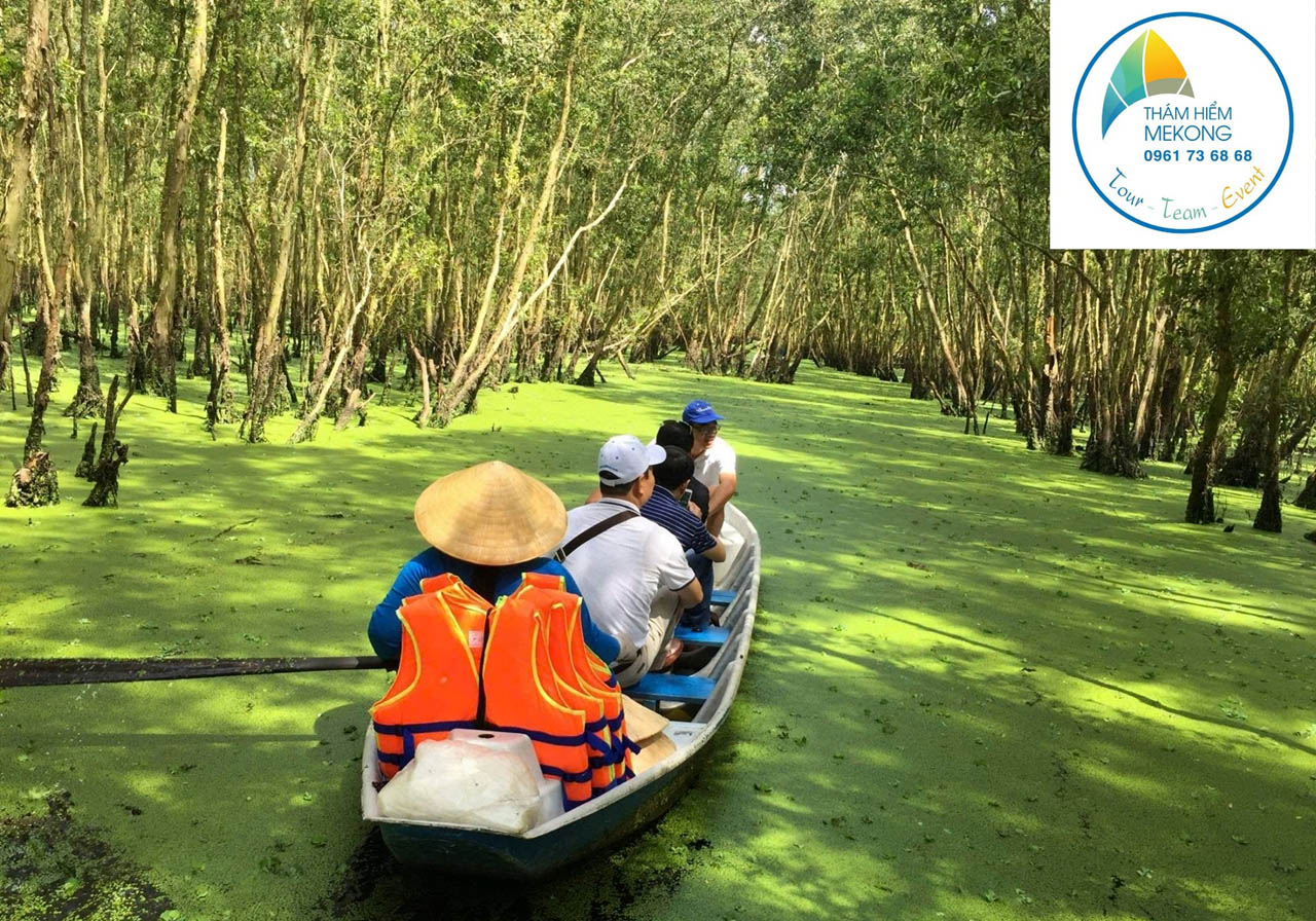 Tour Rừng Tràm Trà Sư của Thám Hiểm Mekong tổ chức